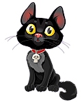 The Magical Cat The Magical Cat